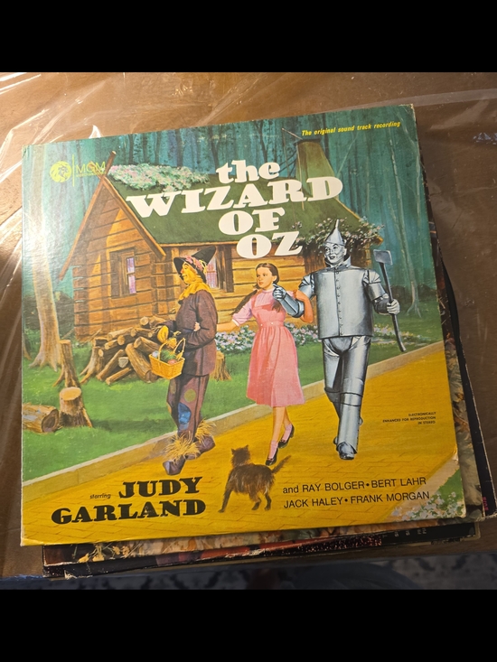 Other - The Wizard of Oz Vinyl Record - Multicolor Cover